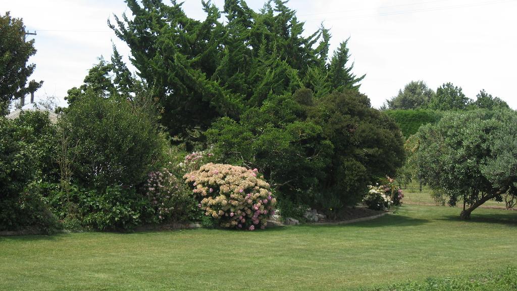 Bluebell Lodge And Cottage Hastings Cameră foto